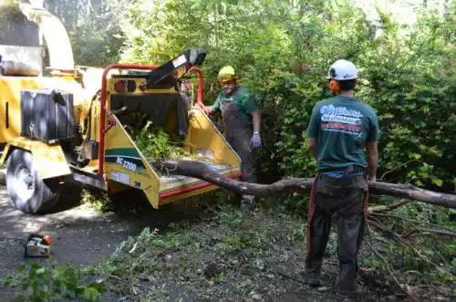 tree services Temescal Valley